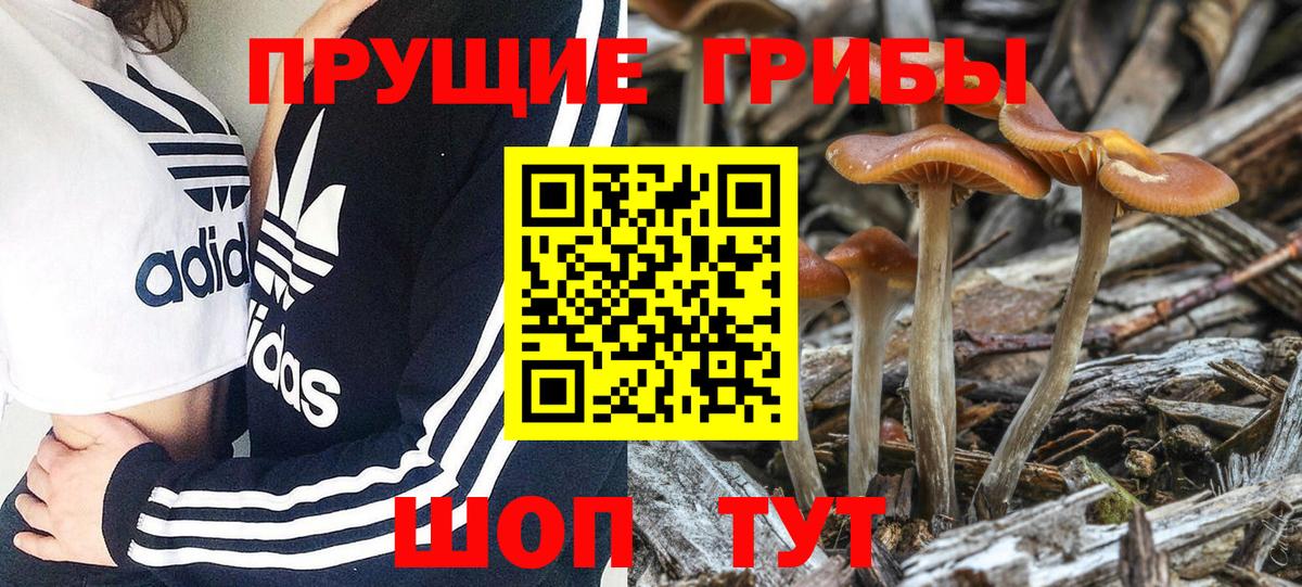 Благодарный  Галлюциногенные грибы прущие грибы  Вход с VPN 